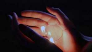 Jak chytit blechu v bytě. Jak znáte blechu v domě